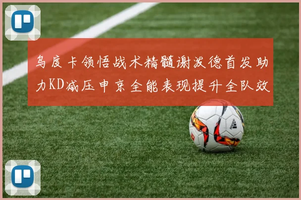 乌度卡领悟战术精髓谢泼德首发助力KD减压申京全能表现提升全队效率